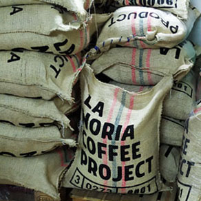 bolsas de yuca